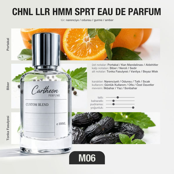 CHNL LLR HMM SPRT M06