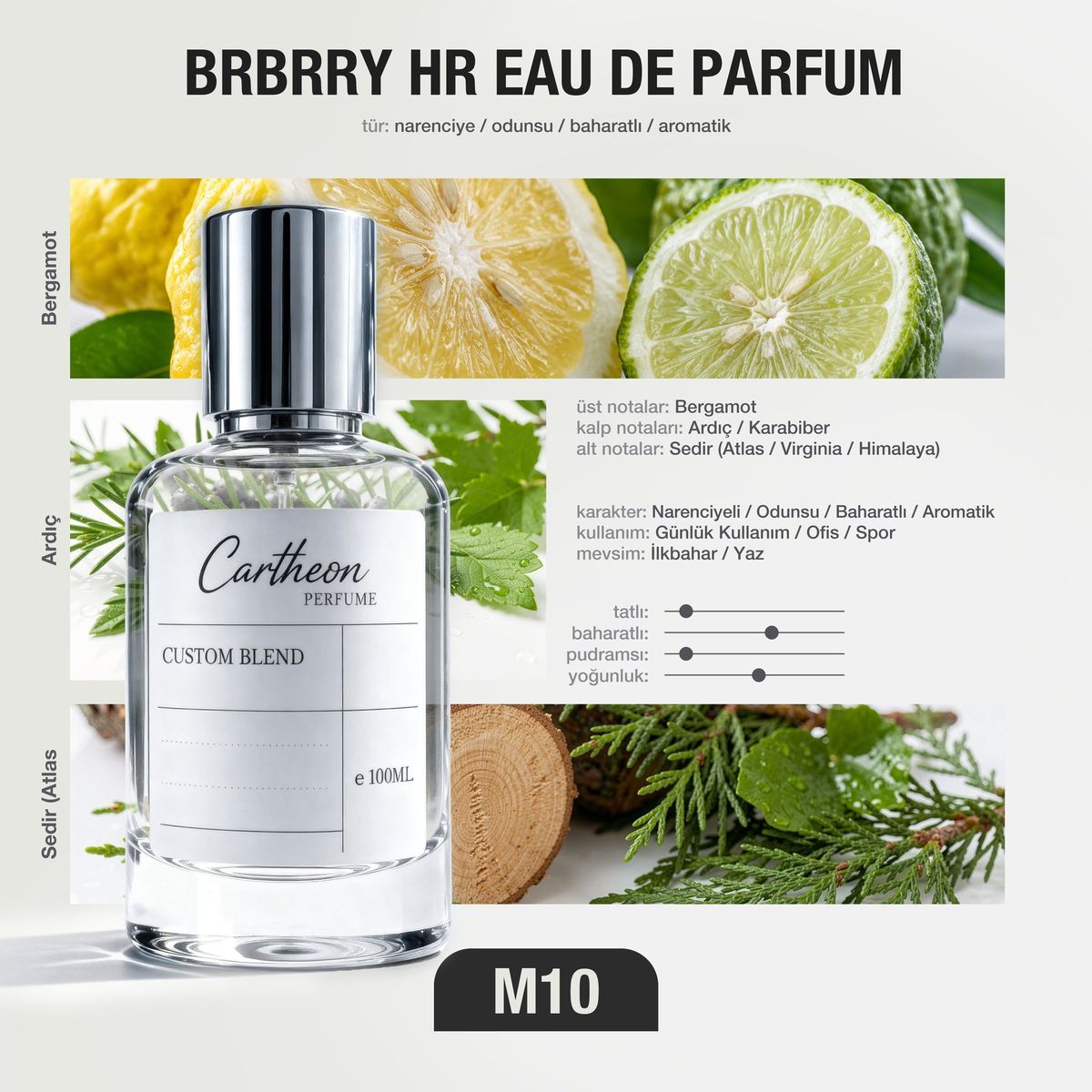 BRBRRY HR M10 100 ml