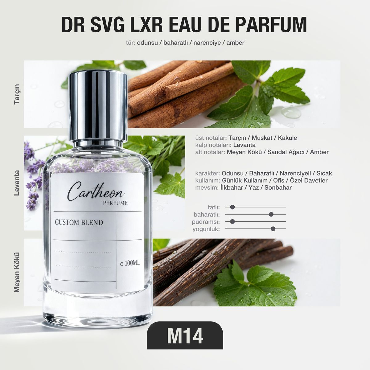 DR SVG LXR M14 100 ml