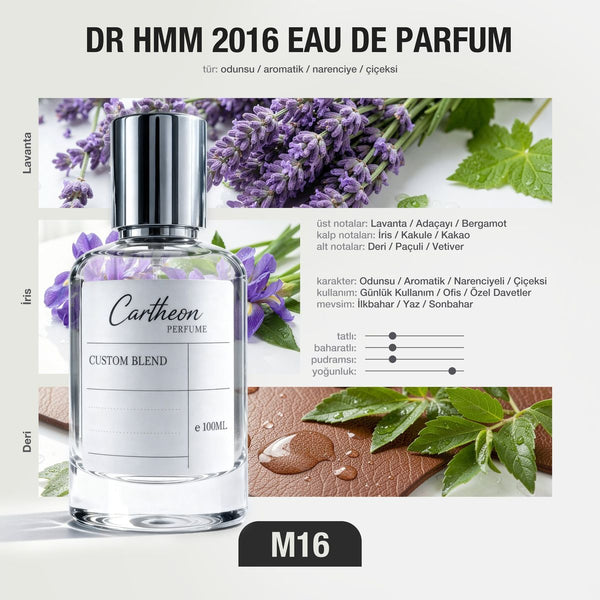 DR HMM 2016 M16