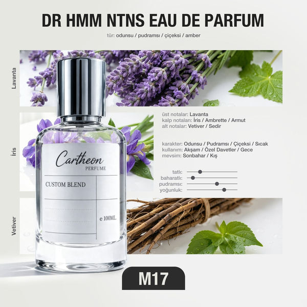 DR HMM NTNS M17