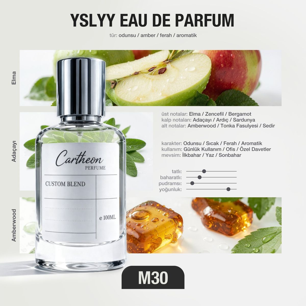 YSLYY M30 100 ml