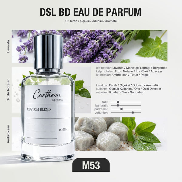 DSL BD M53