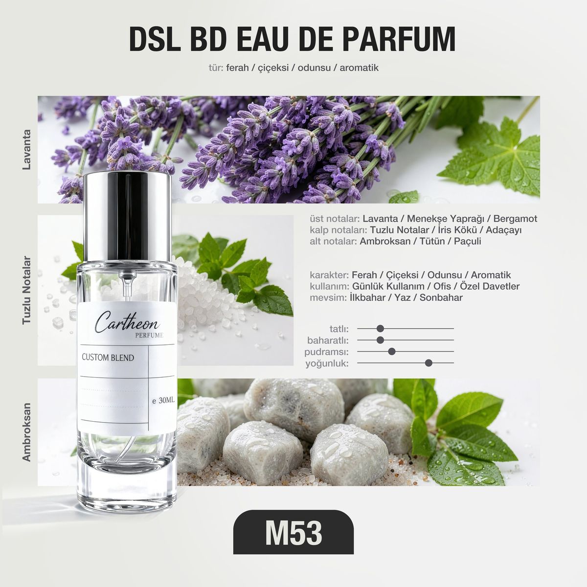 DSL BD M53 30 ml