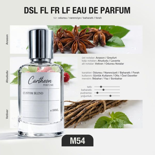 DSL FL FR LF M54