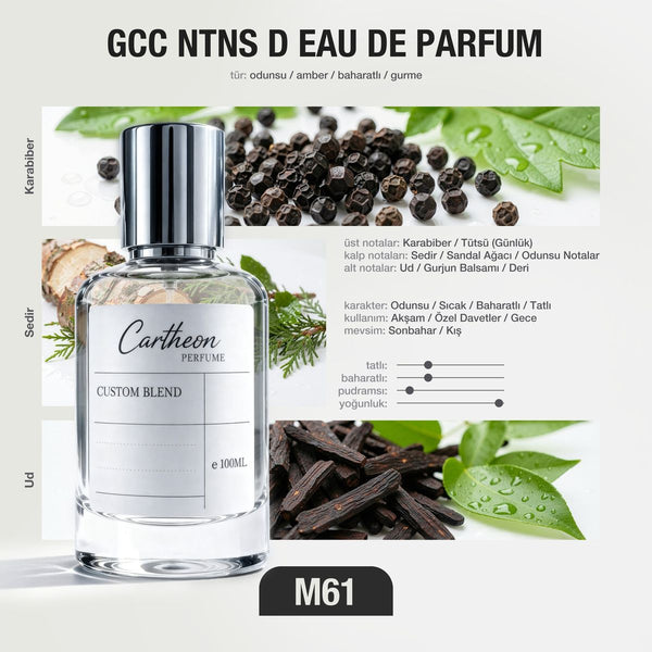GCC NTNS D M61