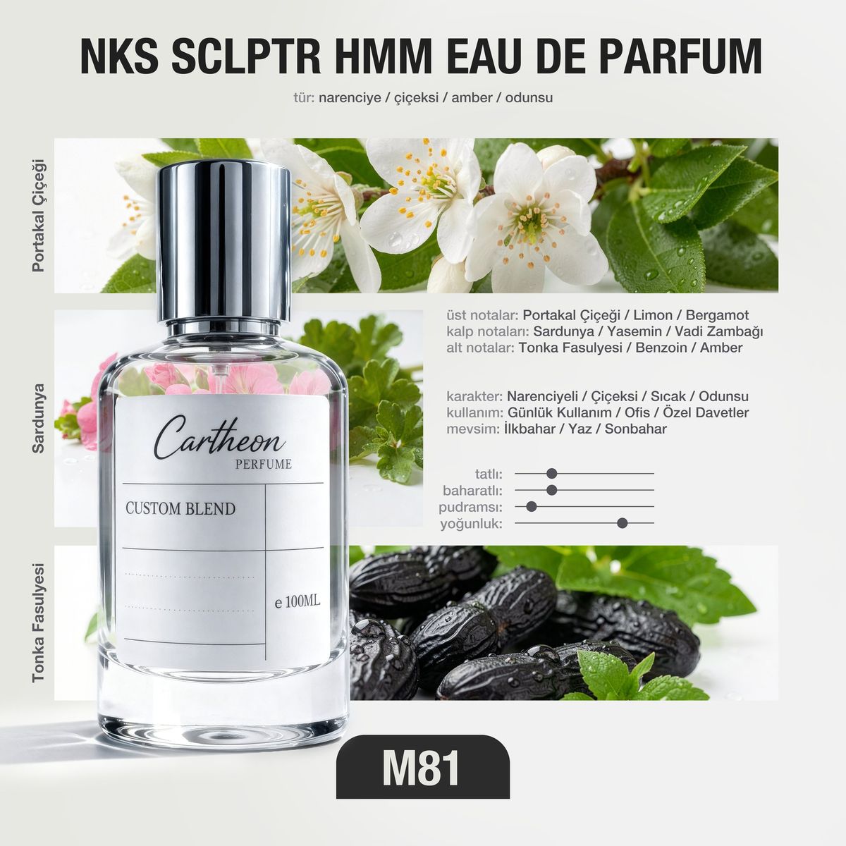 NKS SCLPTR HMM M81 100 ml