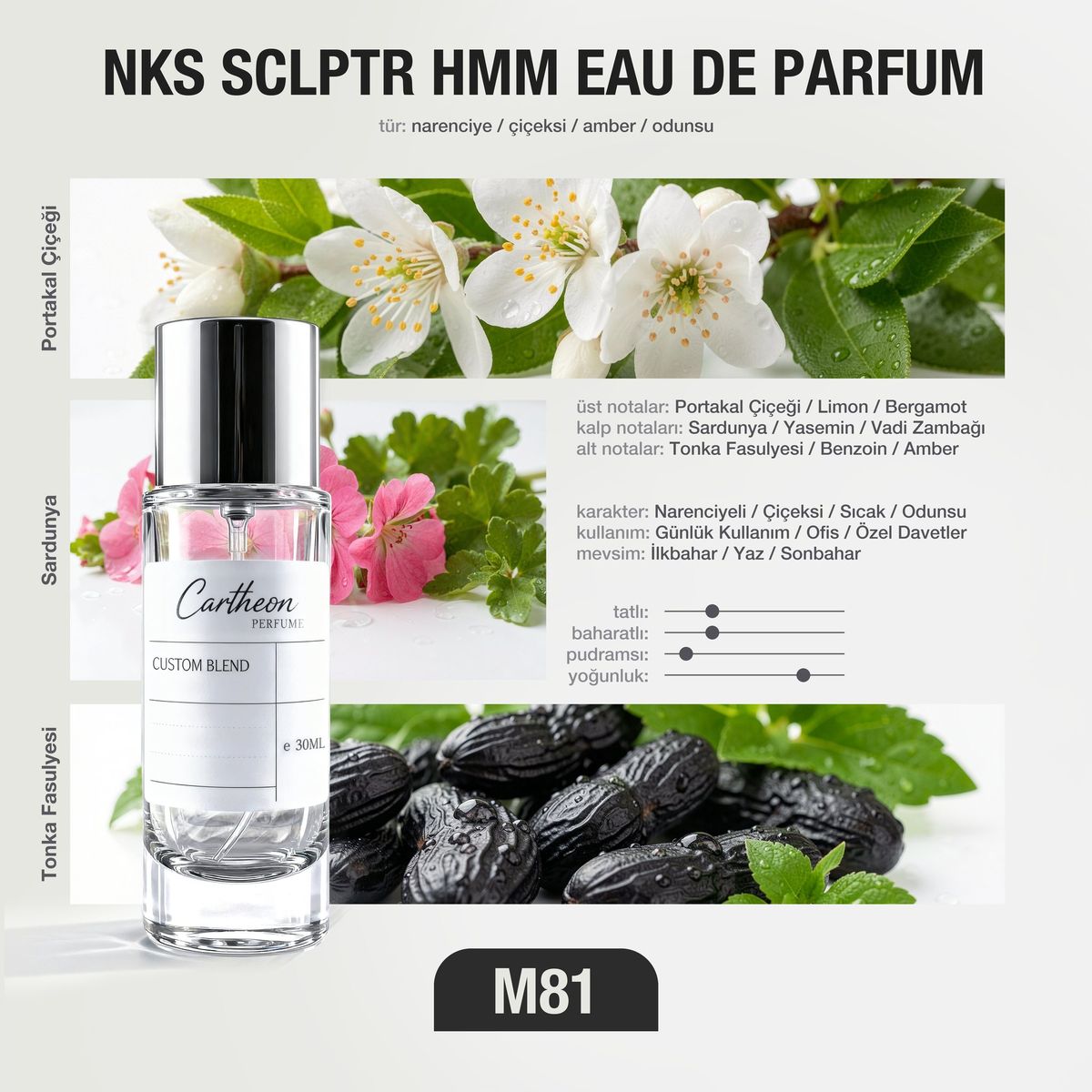 NKS SCLPTR HMM M81 30 ml