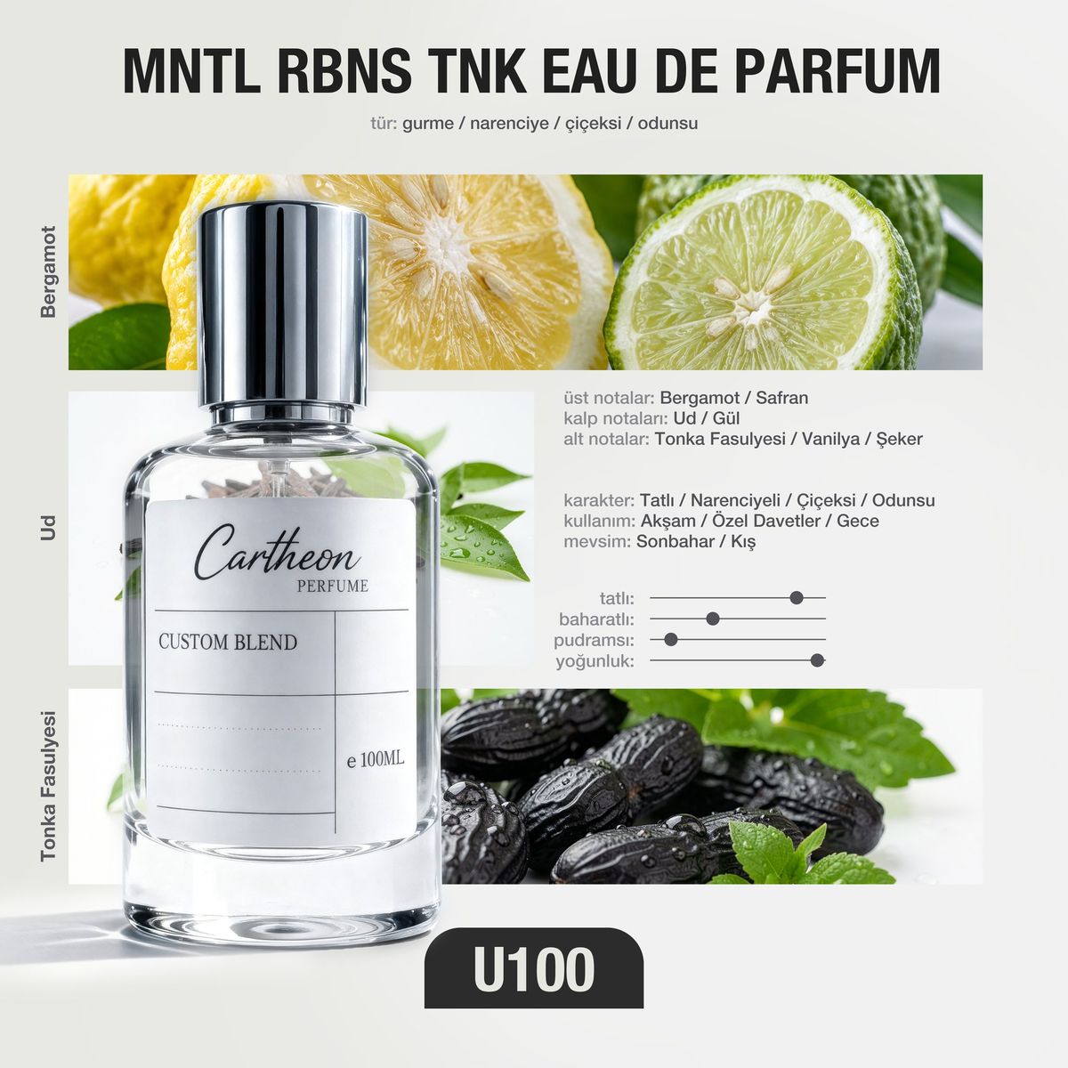 MNTL RBNS TNK U100 100 ml