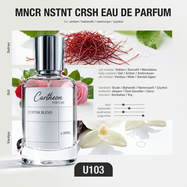 MNCR NSTNT CRSH U103