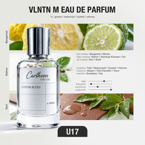 VLNTN M U17