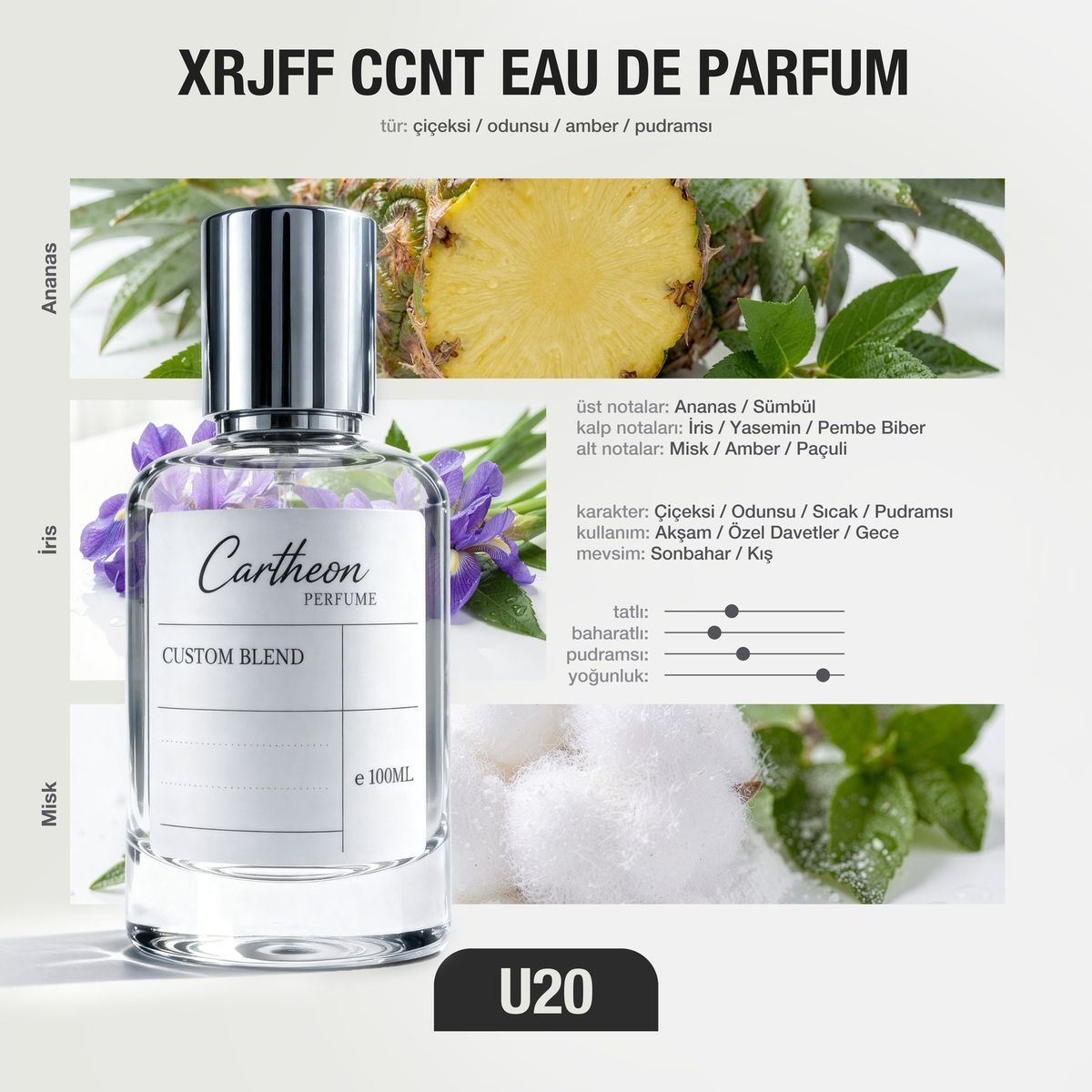 XRJFF CCNT U20 100 ml