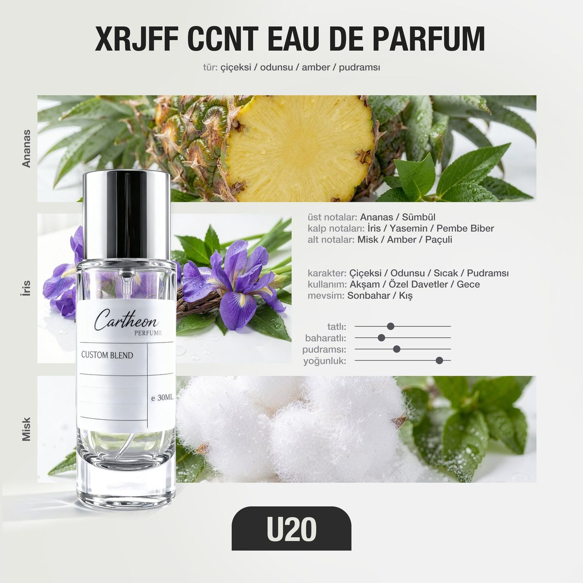 XRJFF CCNT U20 30 ml