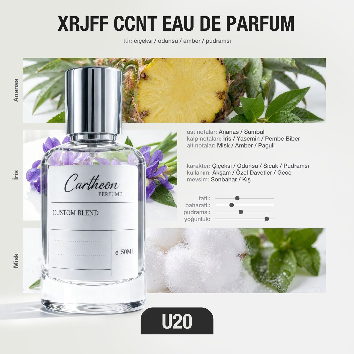 XRJFF CCNT U20 50 ml