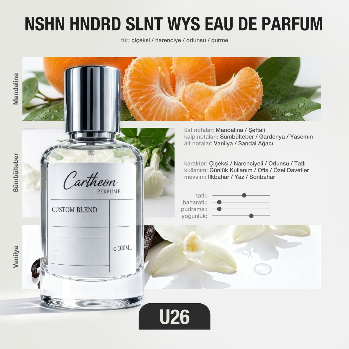 NSHN HNDRD SLNT WYS U26 100 ml