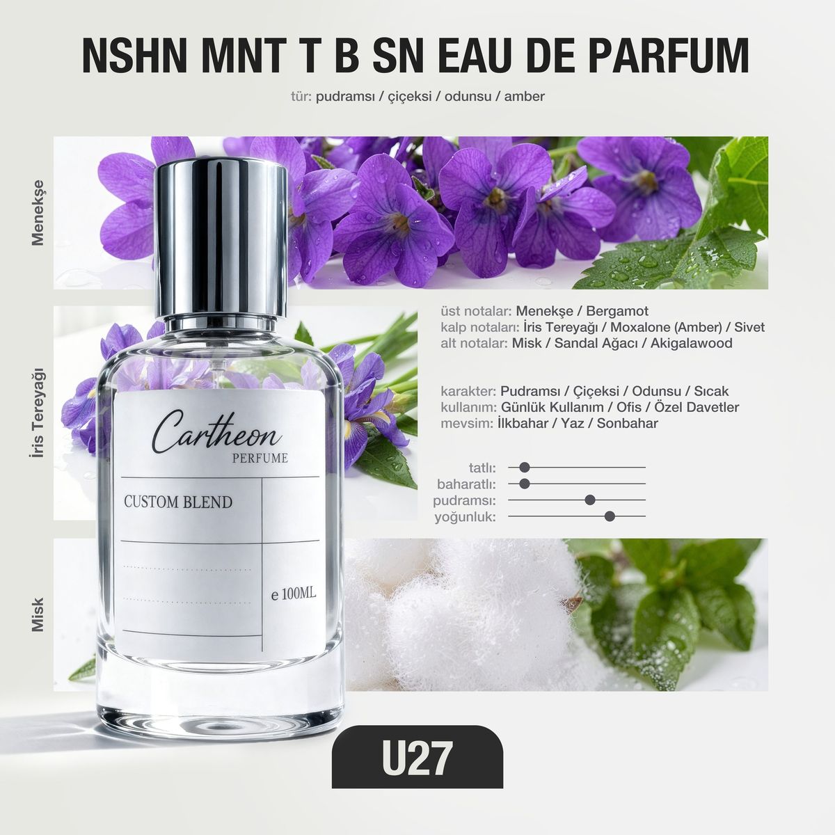NSHN MNT T B SN U27 100 ml