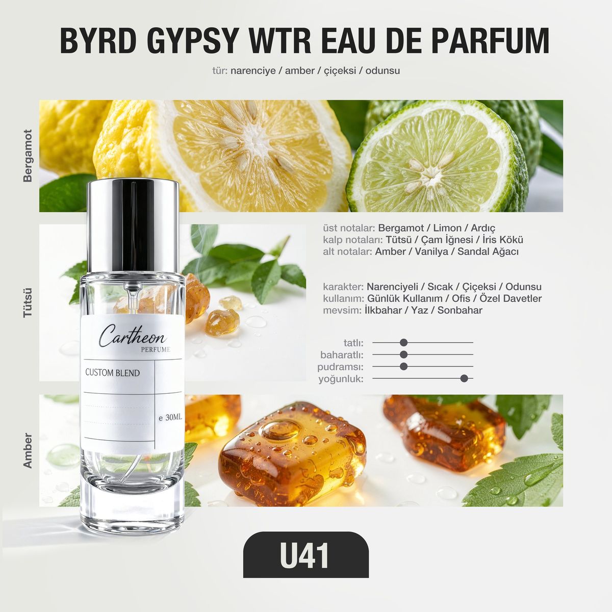 BYRD GYPSY WTR U41 30 ml