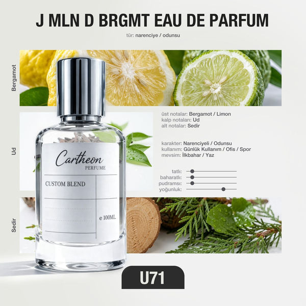 J MLN D BRGMT U71
