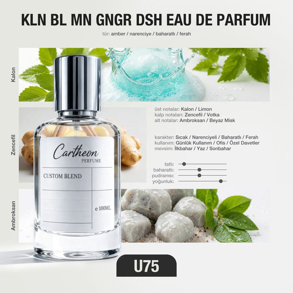 KLN BL MN GNGR DSH U75