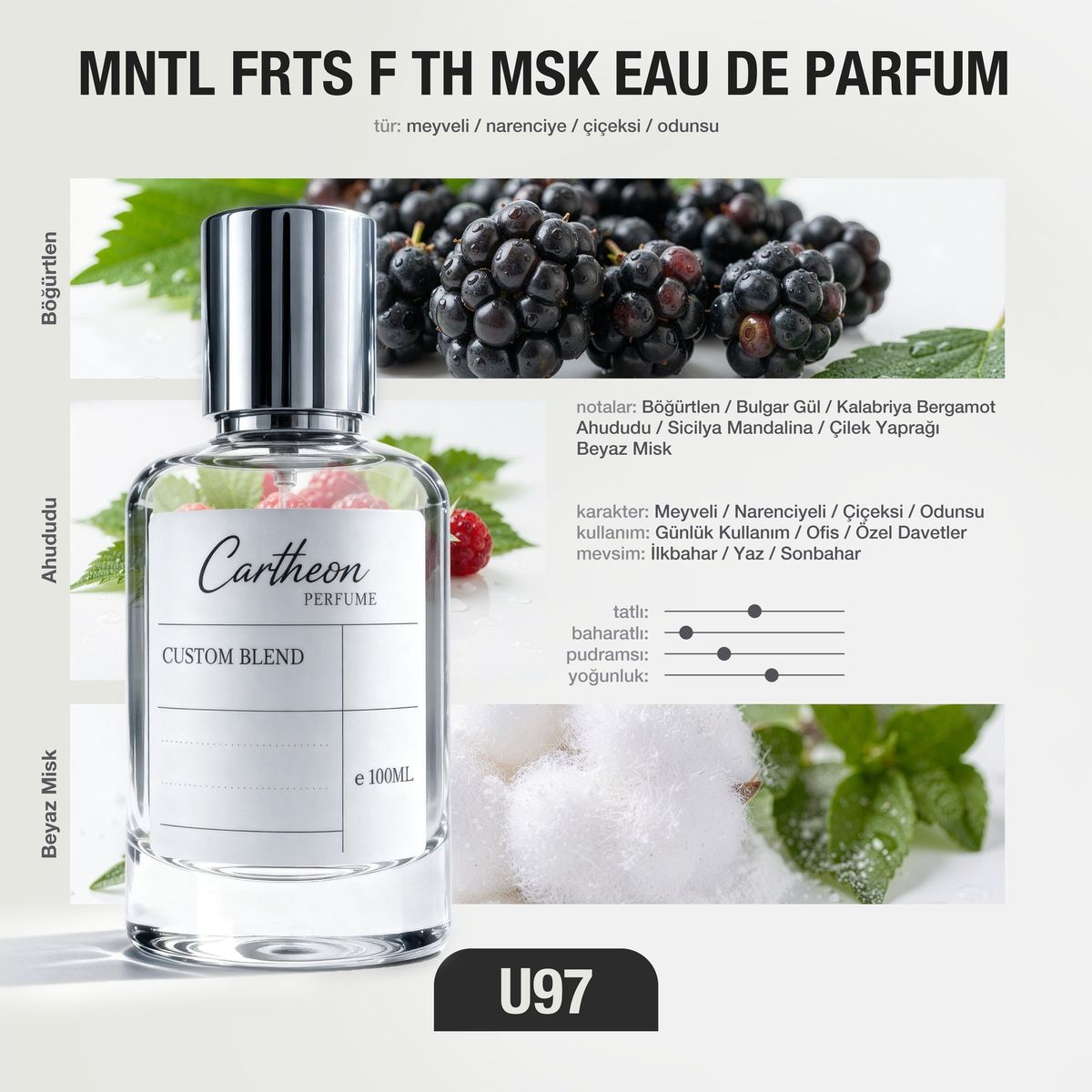 MNTL FRTS F TH MSK U97 100 ml