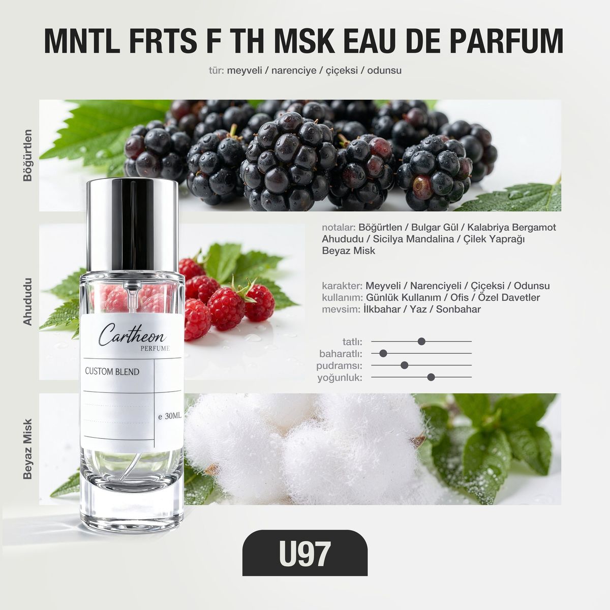 MNTL FRTS F TH MSK U97 30 ml