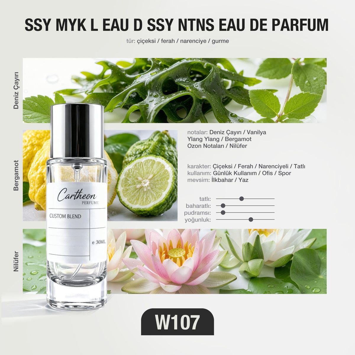 SSY MYK L EAU D SSY NTNS W107 30 ml