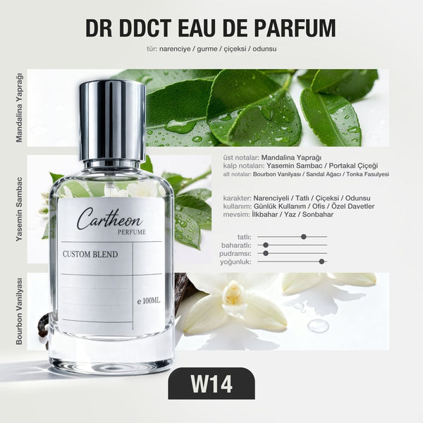 DR DDCT W14