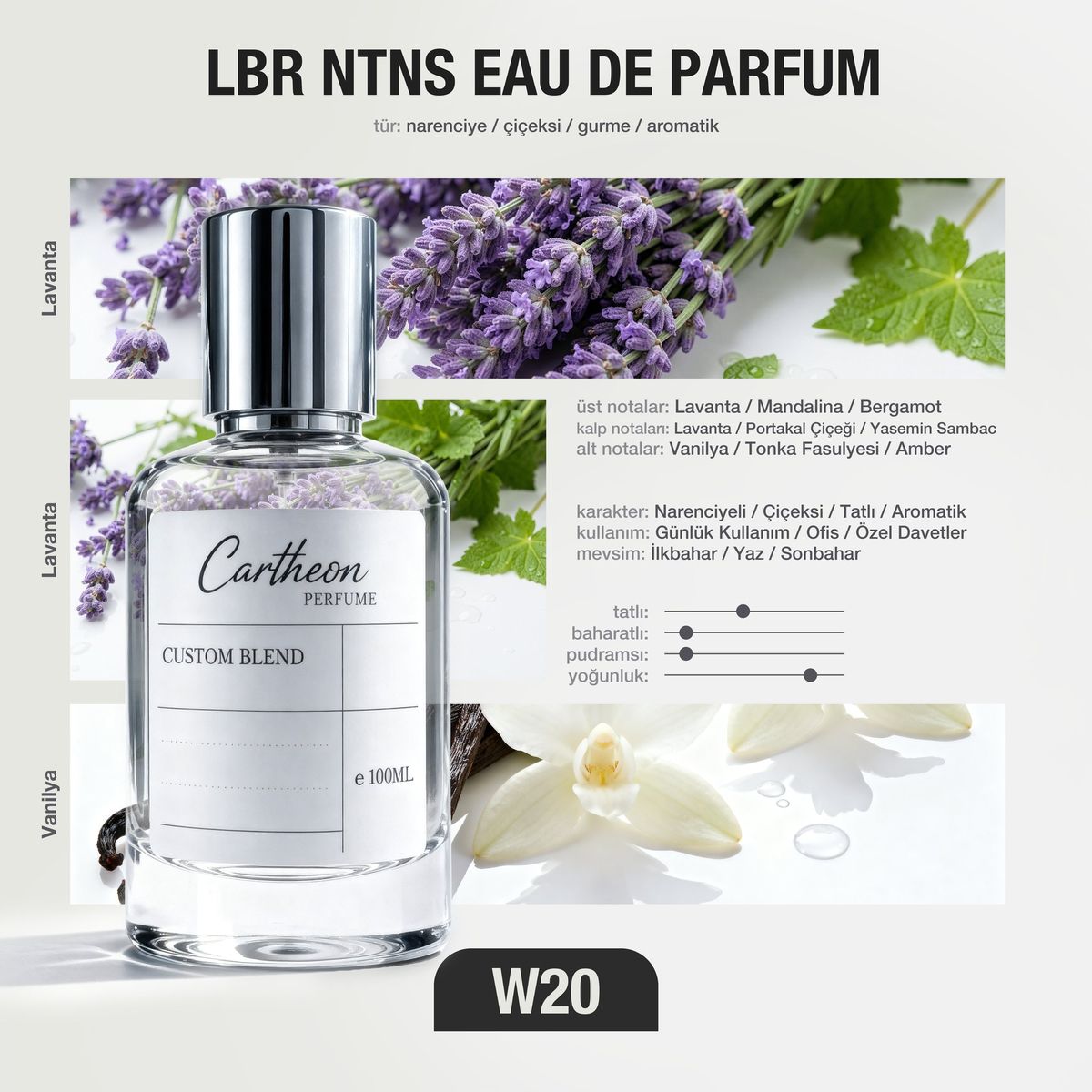 LBR NTNS W20 100 ml