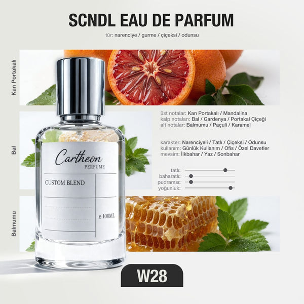 SCNDL W28