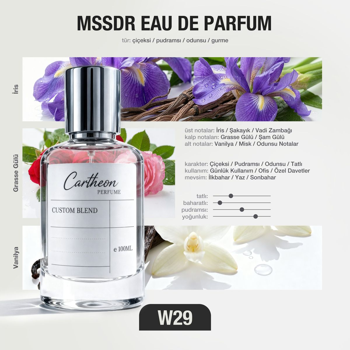 MSSDR W29 100 ml