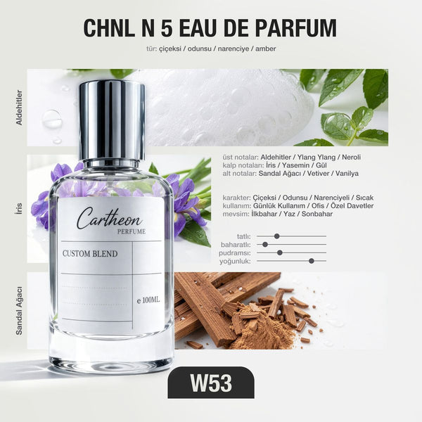 CHNL N 5 W53