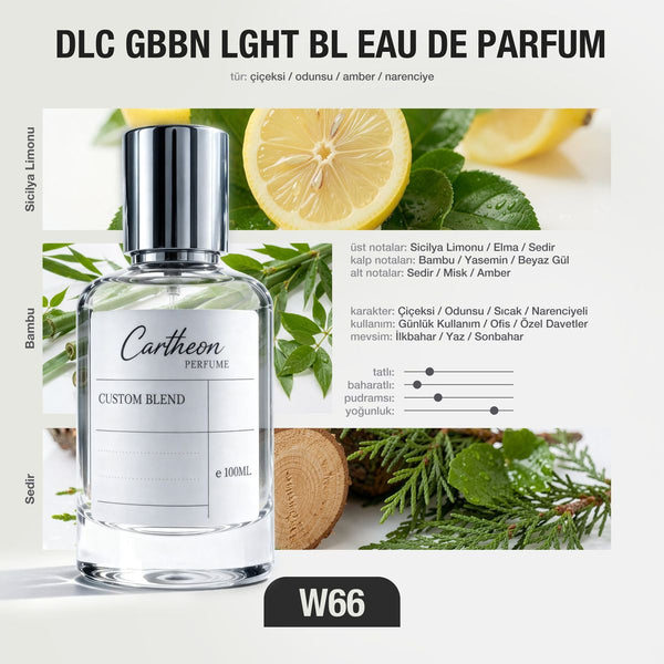 DLC GBBN LGHT BL W66