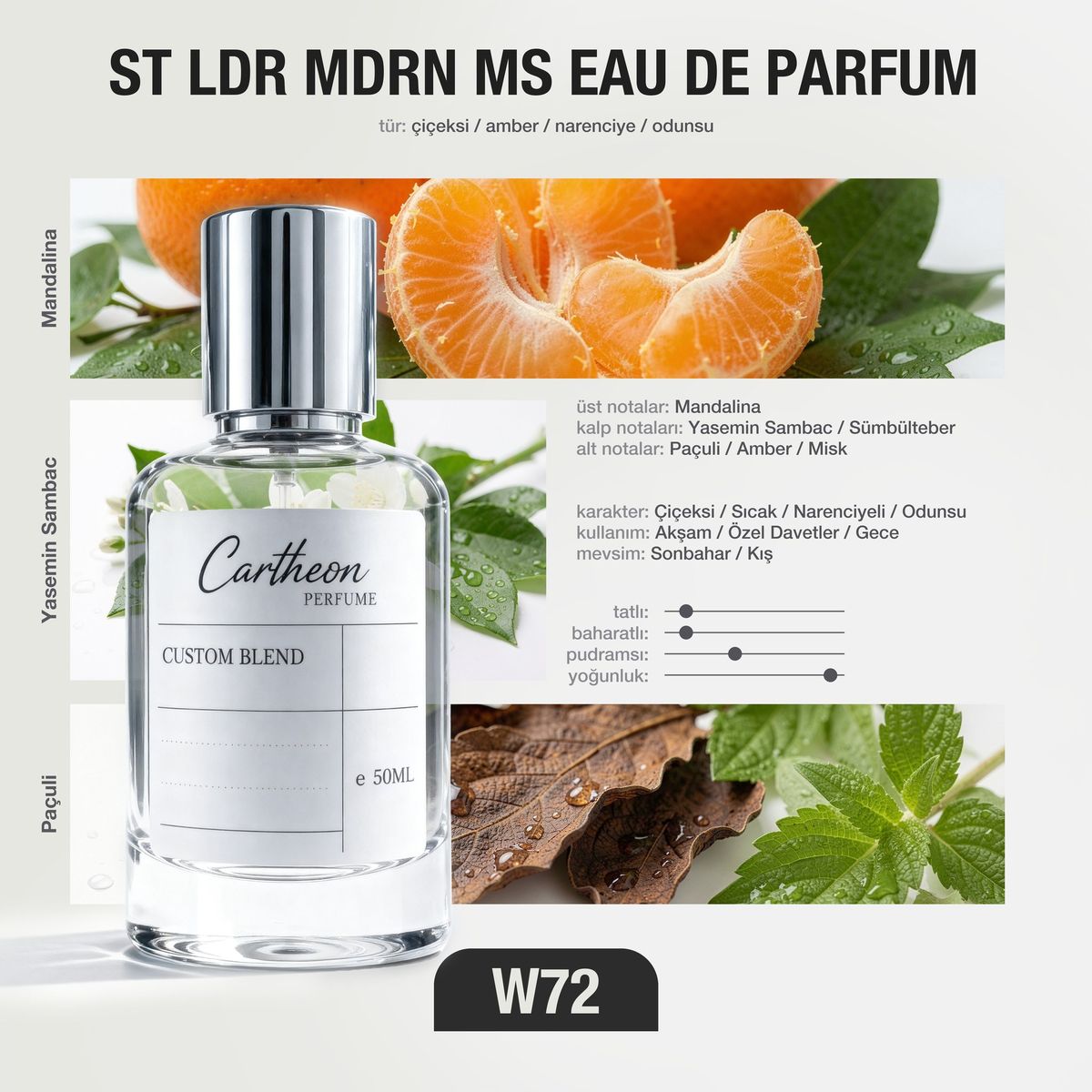 ST LDR MDRN MS W72 50 ml