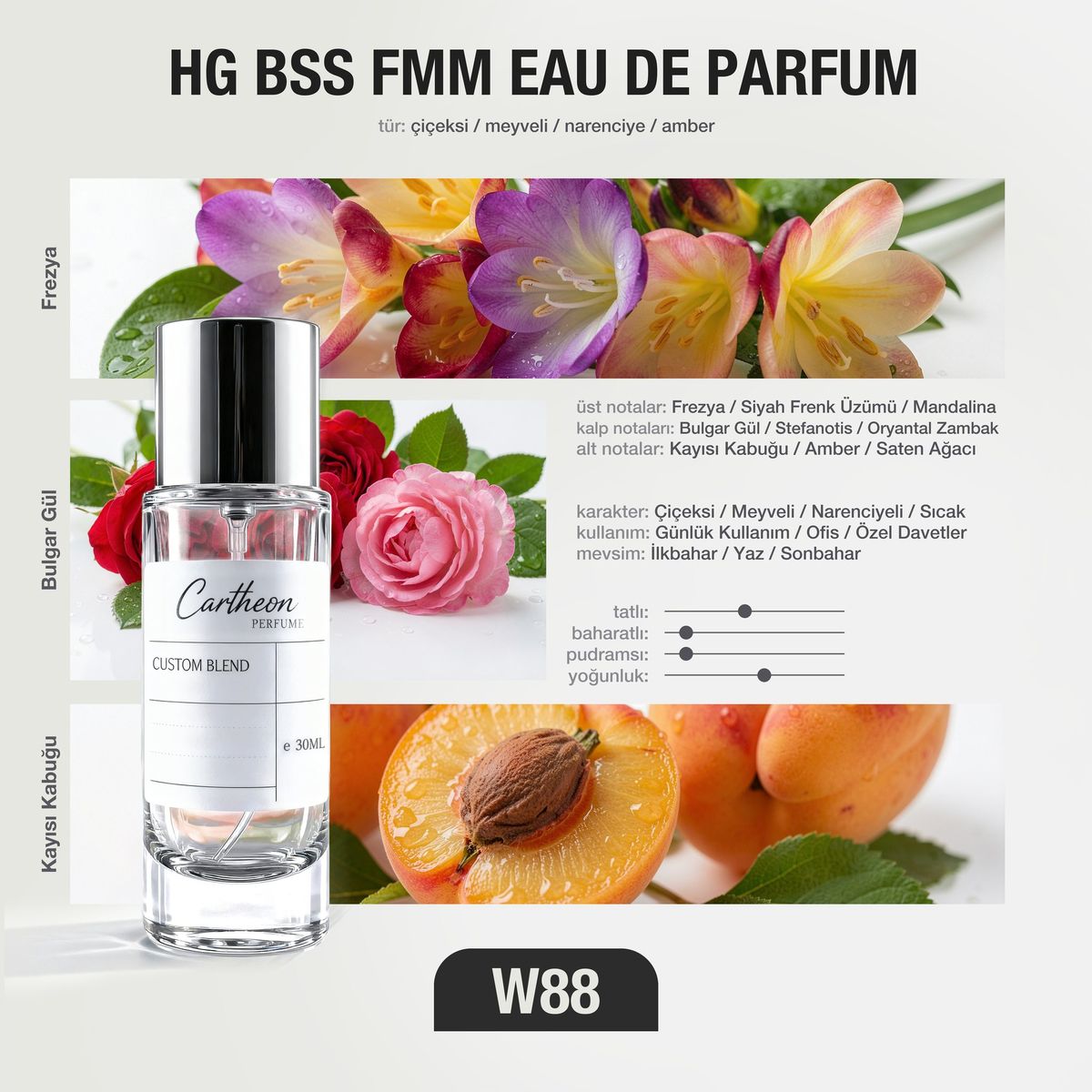 HG BSS FMM W88 30 ml