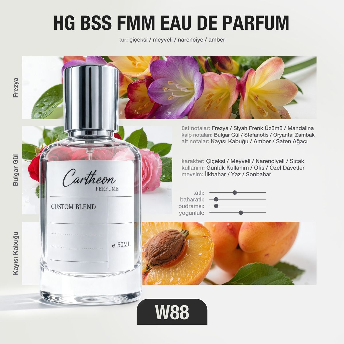 HG BSS FMM W88 50 ml