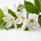 Neroli